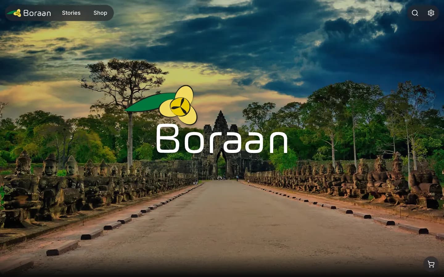The home page of Boraan