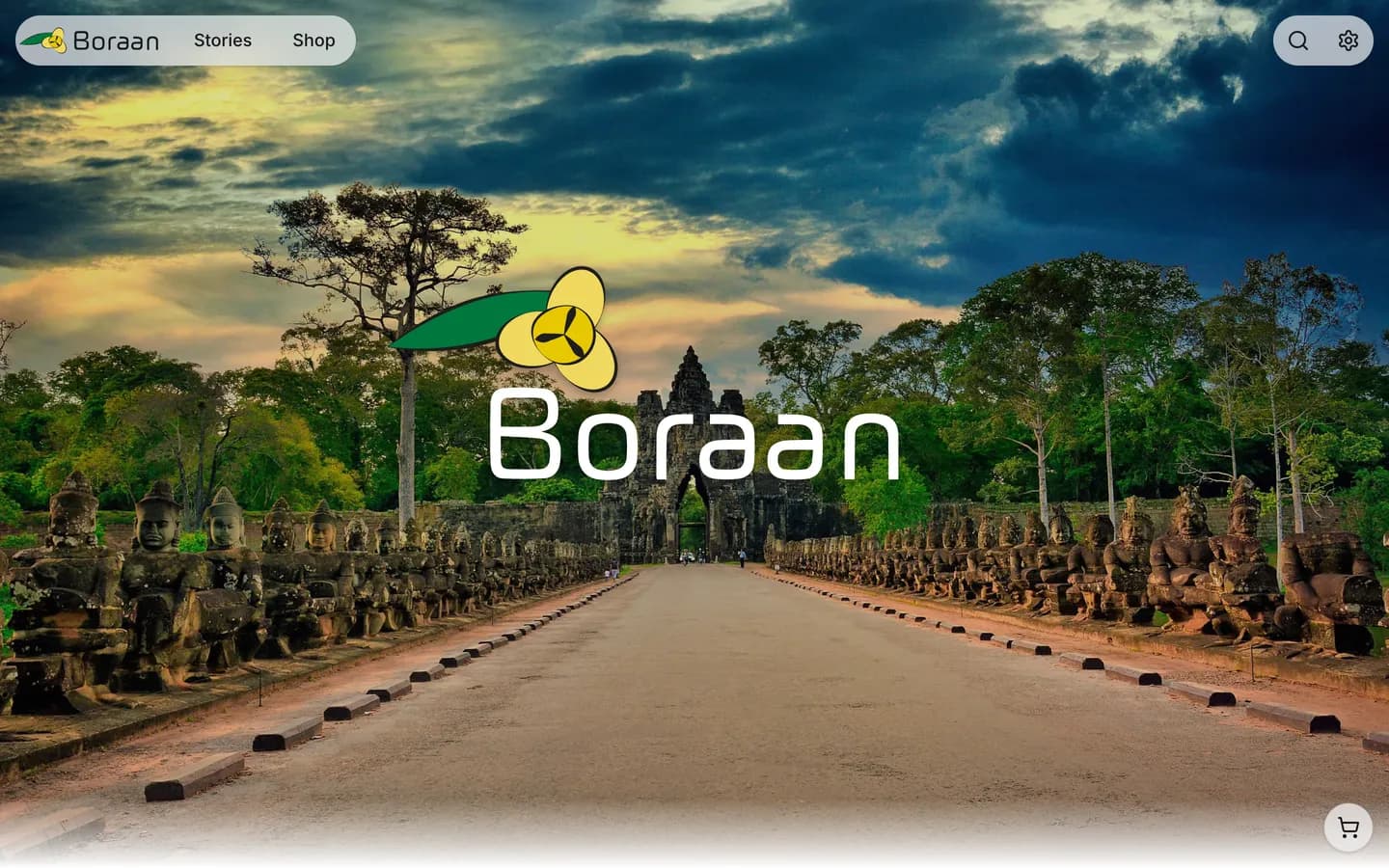 The home page of Boraan